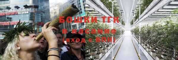 сатива Верхний Тагил