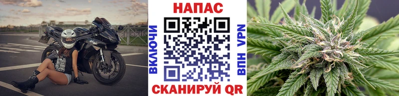 Шишки марихуана SATIVA & INDICA  Каменск-Шахтинский 